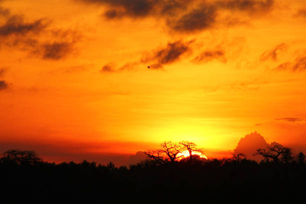 Sunset malindi'